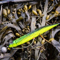 Savage Gear Ned Dragon Tail Slug